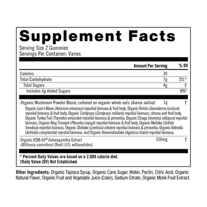 Om Mushroom Superfood Master Blend Mushroom Gummies 56 Count